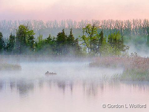 Misty Otter Creek At Sunrise_DSCF02428.jpg - Photographed near Smiths Falls, Ontario, Canada.
